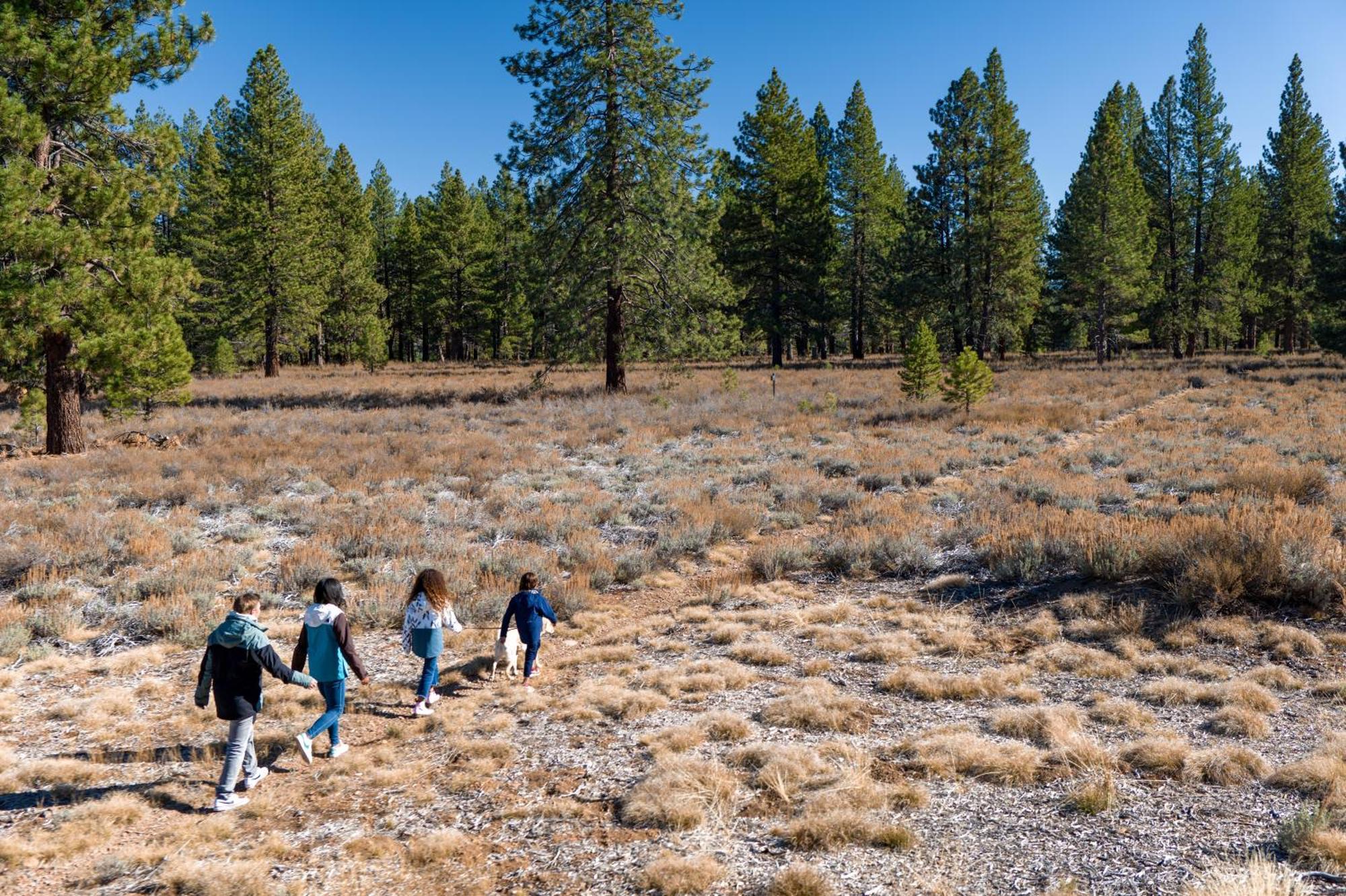 The Cottages - Golf, Pool, Play - 3-Bedroom Truckee Exteriér fotografie